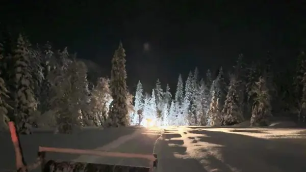 Skoternsdag och lansering av en NY enklare plattform 