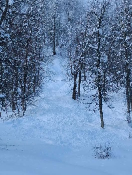 Lavinfara i området
