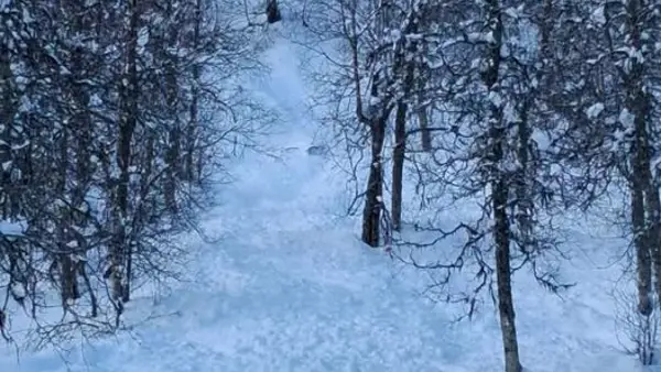 Lavinfara i området