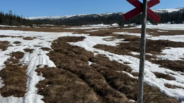 Säsongsavslutning