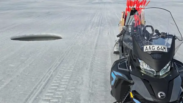 Vilken fin vårvinter vi har! 