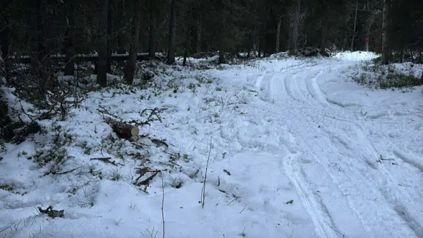 Statusuppdatering 20251216