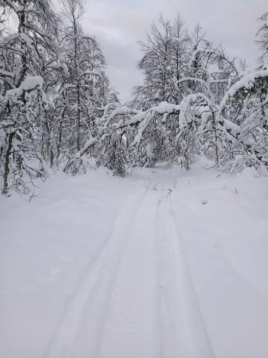 Ledåkning öppnar där snödjup är tillräckligt